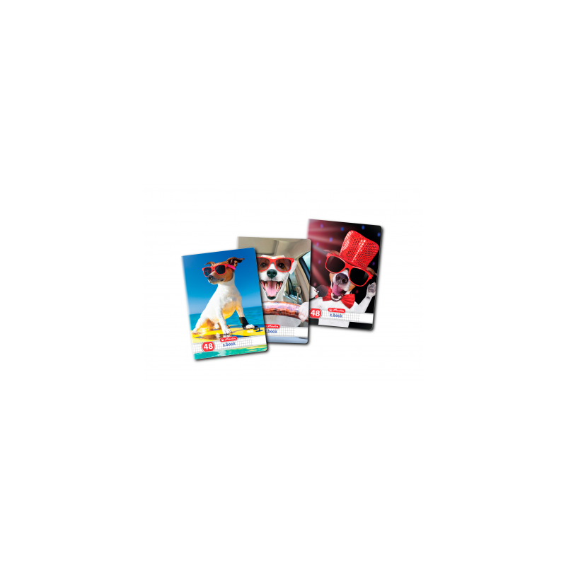 CAIET A5 48F PATRATELE HERLITZ CAIET A5 48F PATRATELE HERLITZ