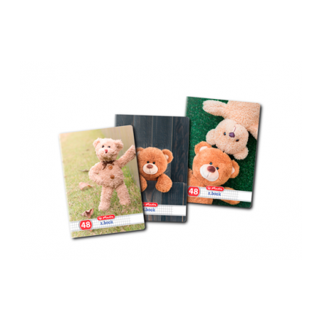 CAIET A5 48F PATRATELE HERLITZ