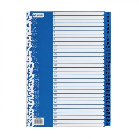 SEPARATOARE NUMERICE 1-31 A4+