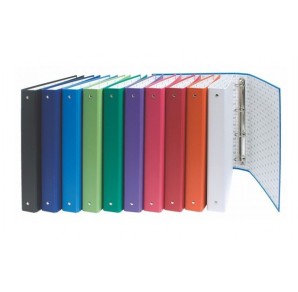 CAIET MECANIC A4 2 INELE INGUST DIV CULORI