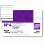 FISE CARTON NR.4 DICTANDO 200X125MM, PACHET DE 100 DE COLI