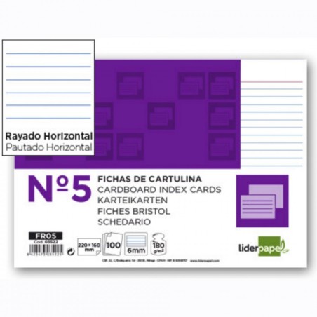 FISE CARTON NR.5 DICTANDO 220X160MM, PACHET DE 100 DE COLI
